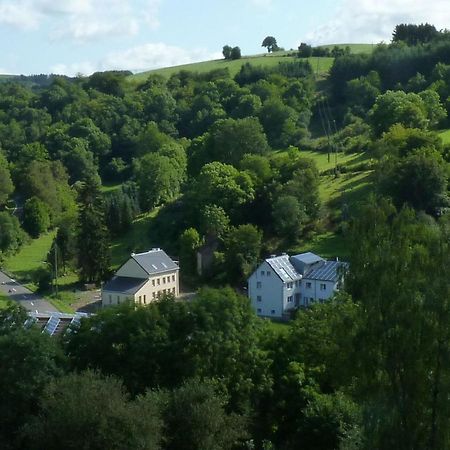 Suedeifel Ferienhaeuser Christian Faust Villa Zweifelscheid Dış mekan fotoğraf