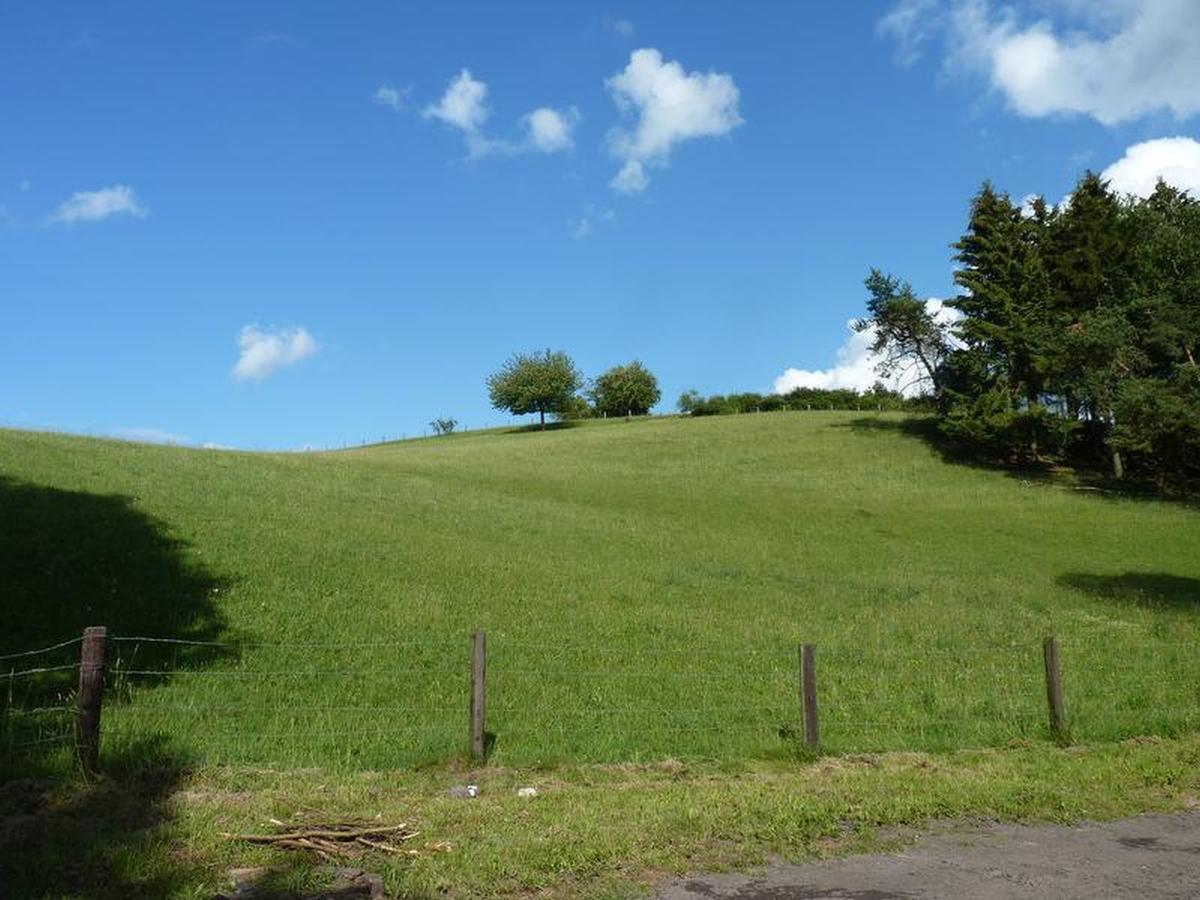Suedeifel Ferienhaeuser Christian Faust Villa Zweifelscheid Dış mekan fotoğraf